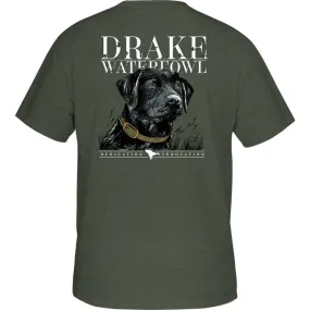 Black Lab Collar Short Sleeve T-Shirt