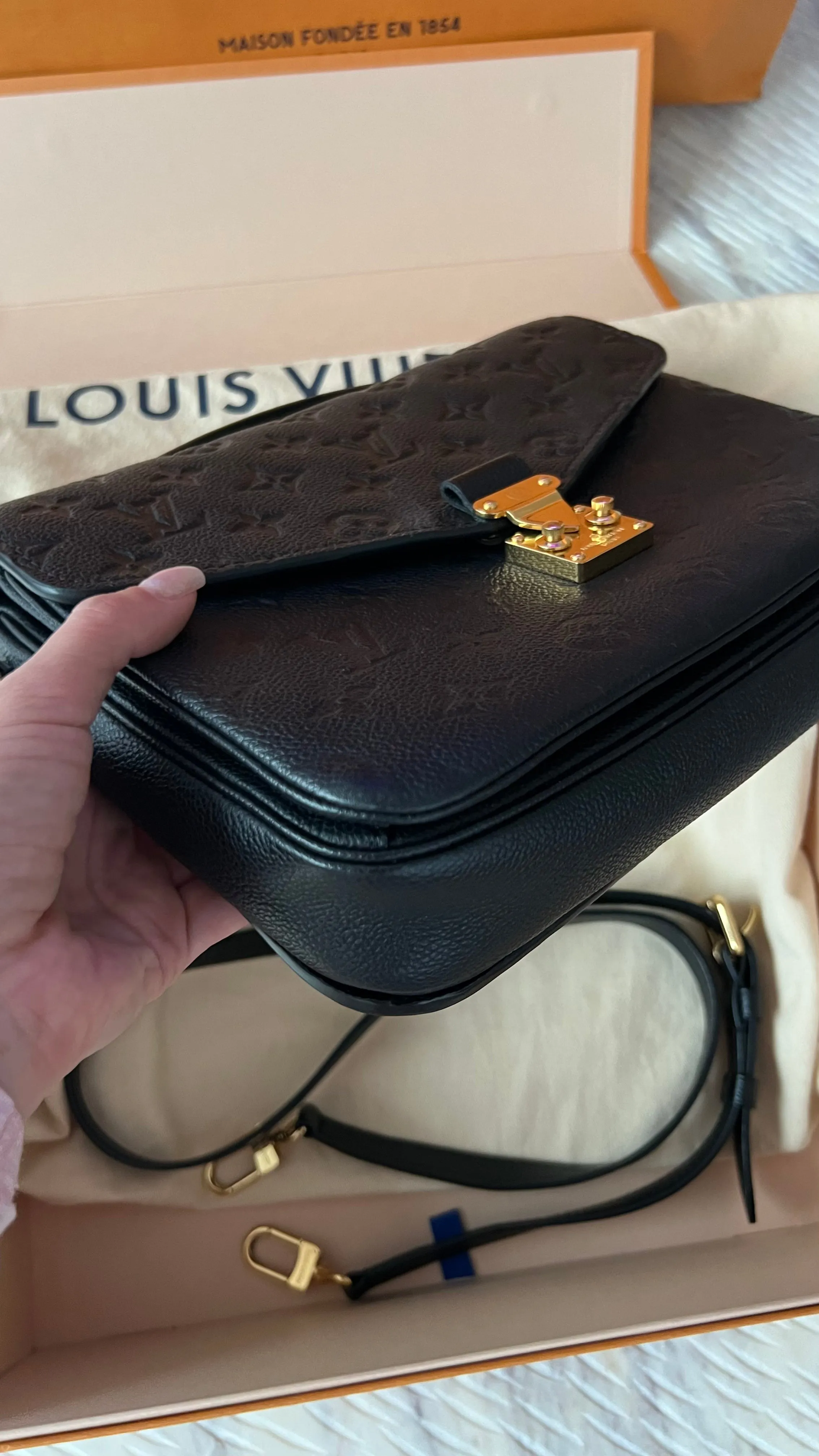 Louis Vuitton Pochette Metis Bag