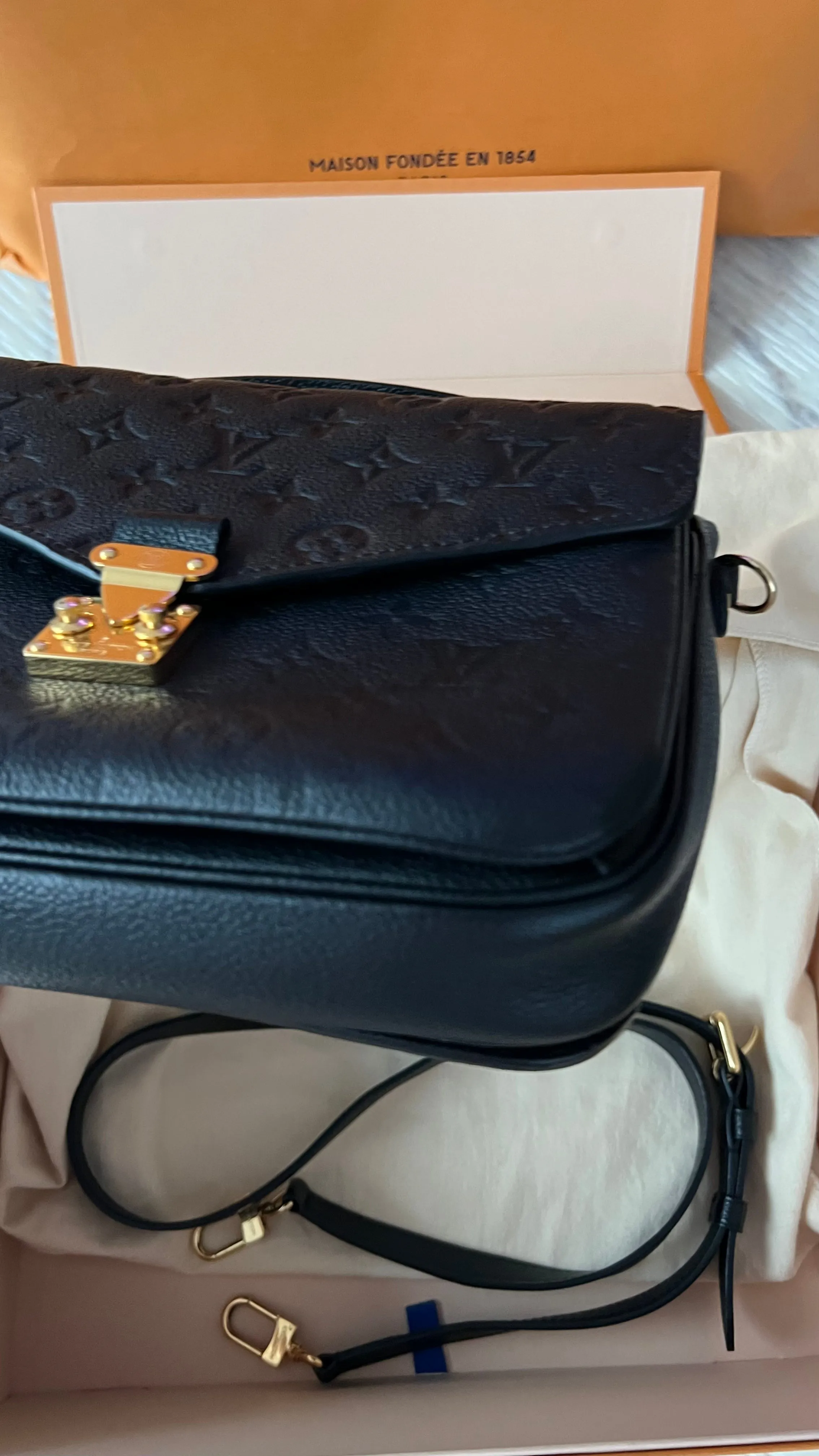 Louis Vuitton Pochette Metis Bag