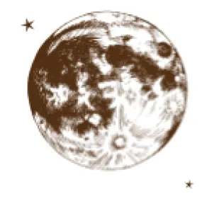 Notecard Set Moon (Lark Press)